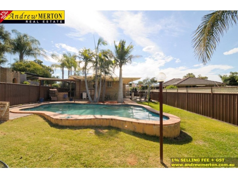 3 Alexandra Circuit, St Clair NSW 2330