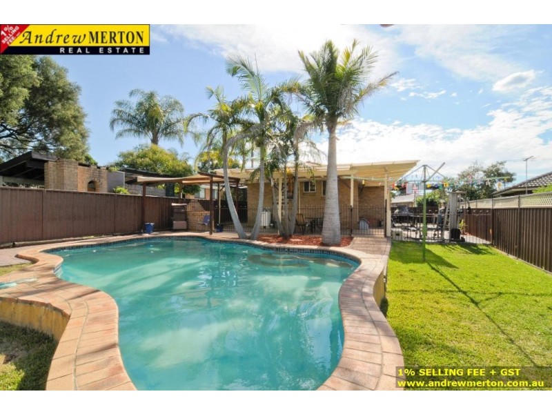 3 Alexandra Circuit, St Clair NSW 2330