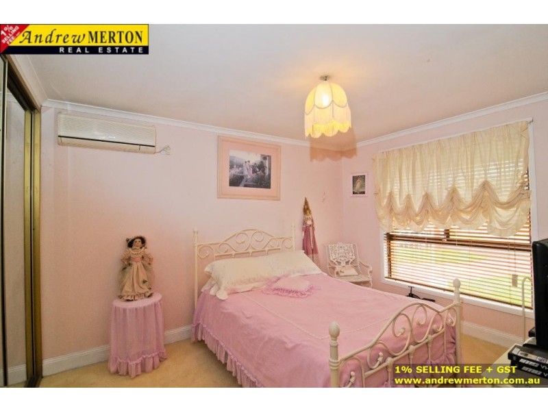 166 McFarlane Dr, Minchinbury NSW 2770