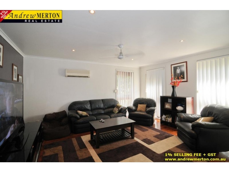 3 Alexandra Circuit, St Clair NSW 2330