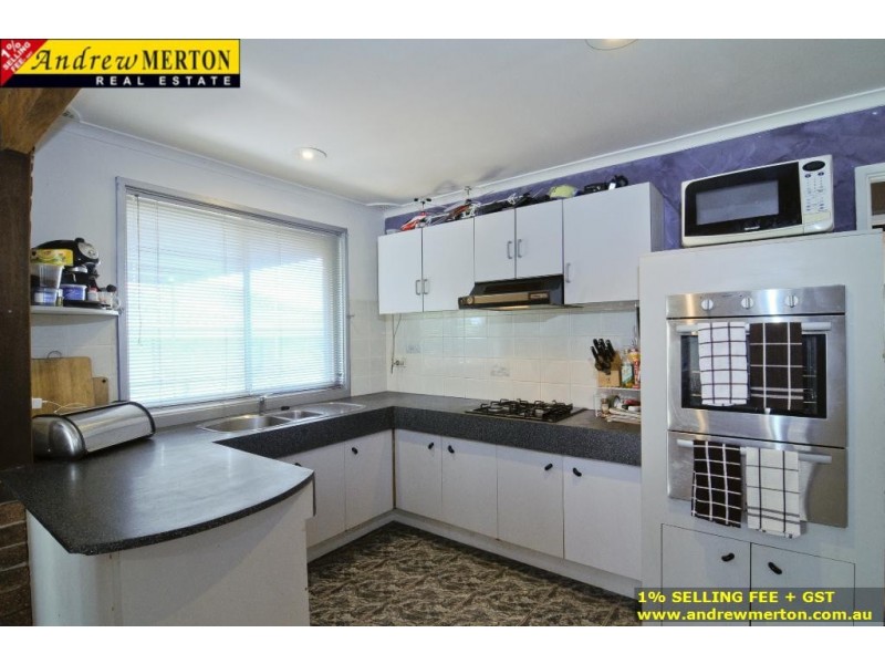 3 Alexandra Circuit, St Clair NSW 2330