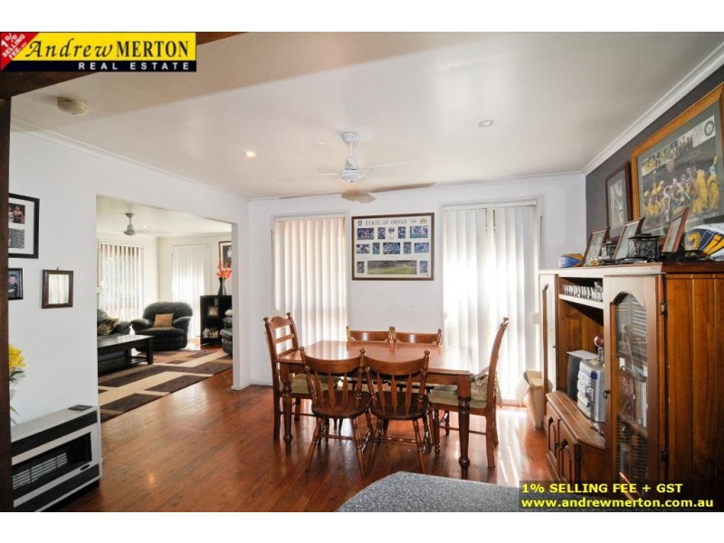 3 Alexandra Circuit, St Clair NSW 2330