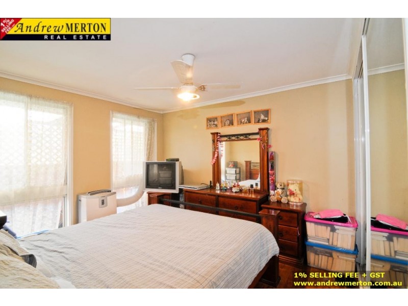 3 Alexandra Circuit, St Clair NSW 2330