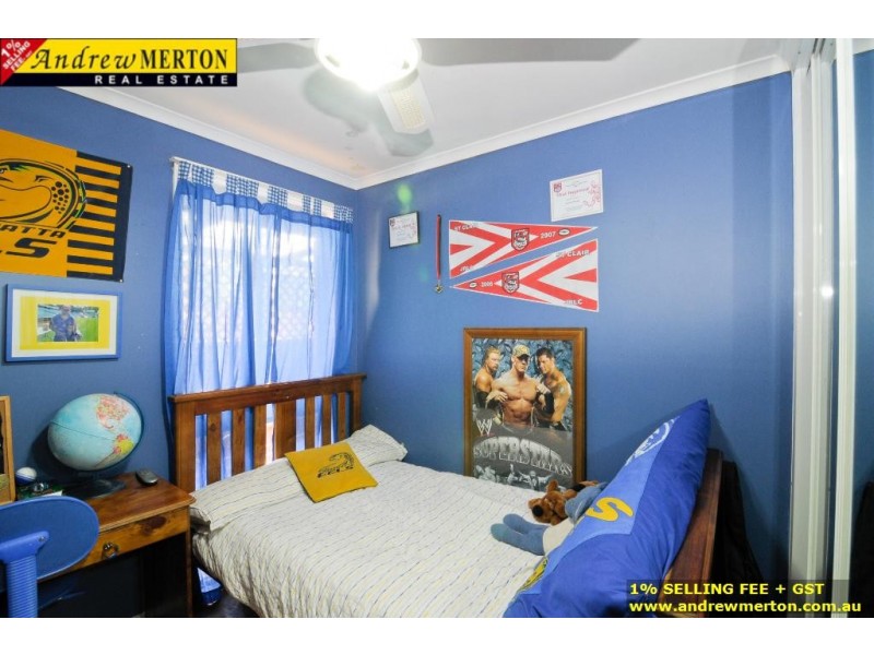 3 Alexandra Circuit, St Clair NSW 2330