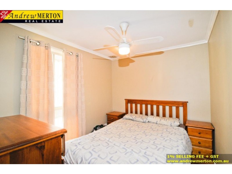 3 Alexandra Circuit, St Clair NSW 2330