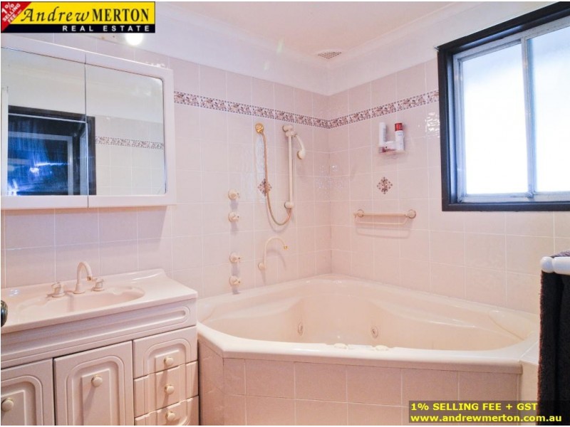 3 Alexandra Circuit, St Clair NSW 2330