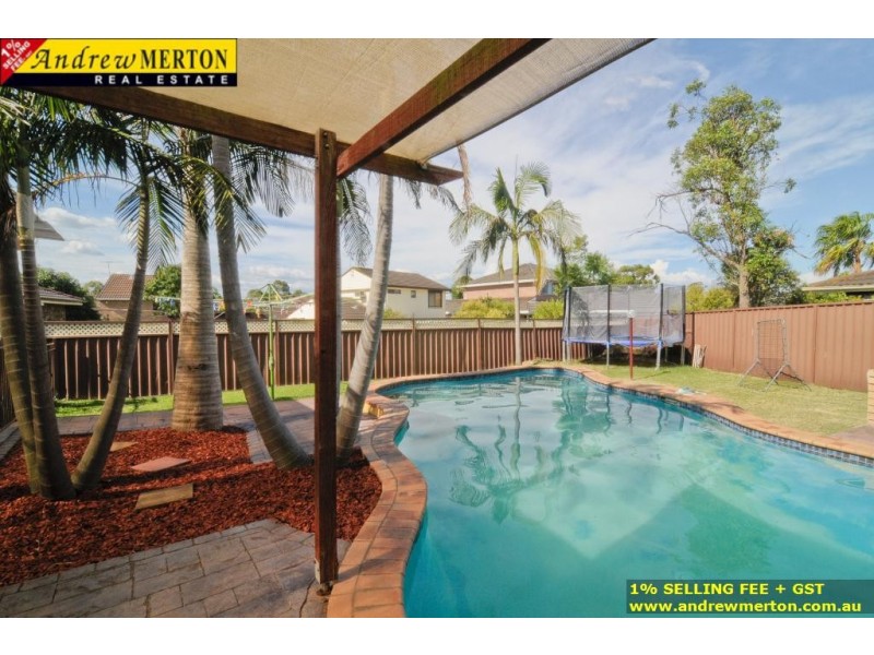 3 Alexandra Circuit, St Clair NSW 2330