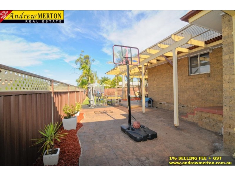 3 Alexandra Circuit, St Clair NSW 2330