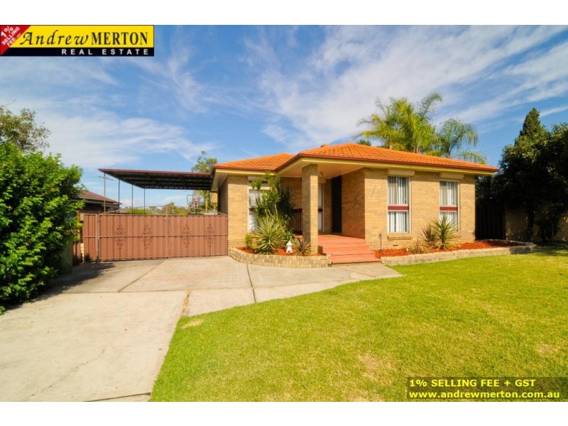 3 Alexandra Circuit, St Clair NSW 2330