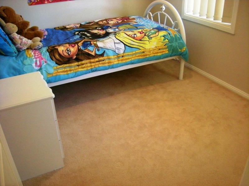 2/1 Windrush Circuit, St Clair NSW 2330