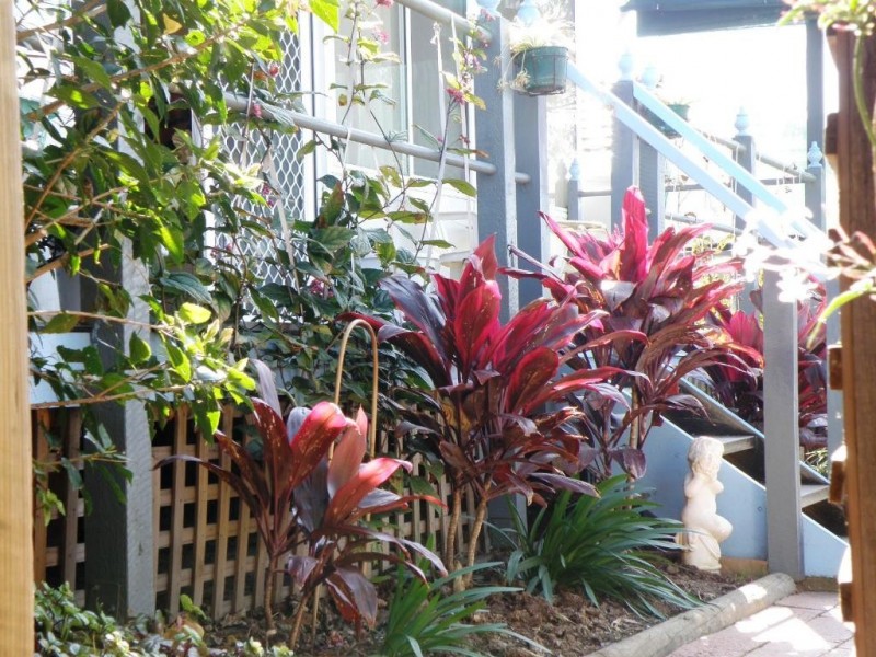 16 Helena St, Emerton NSW 2770