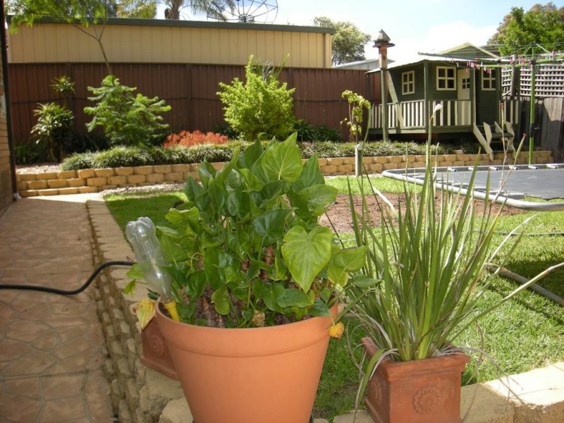 107 Hoyle Drive, Dean Park NSW 2761