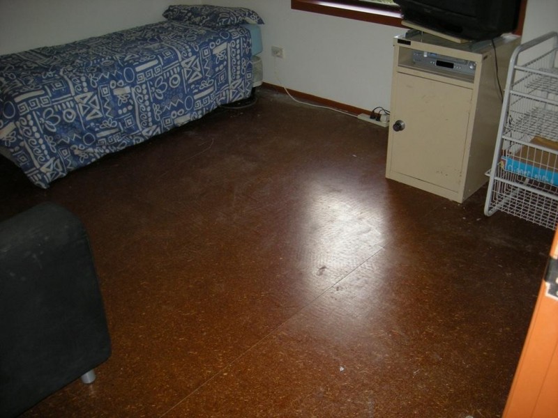 107 Hoyle Drive, Dean Park NSW 2761