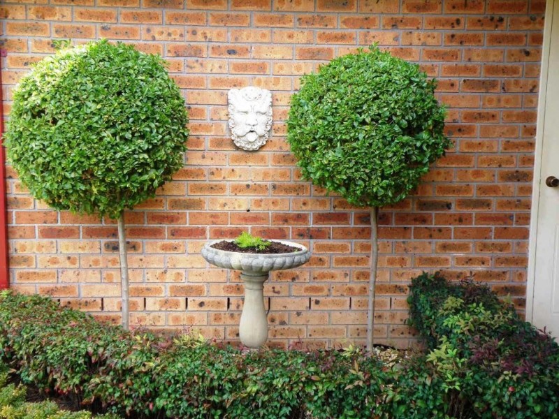 20 Whitehaven Ave, Quakers Hill NSW 2763