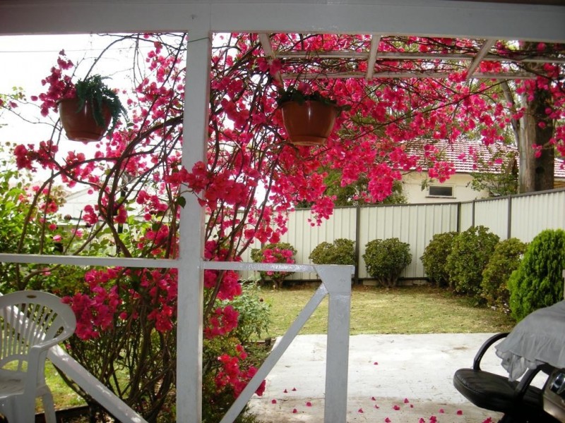 17 Ross Street, Blacktown NSW 2148