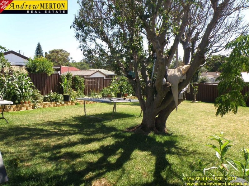 26 Mitchell St, Lalor Park NSW 2147