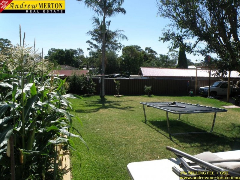 26 Mitchell St, Lalor Park NSW 2147