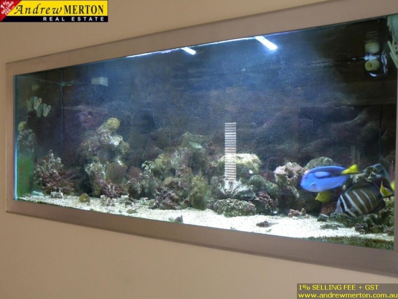 20 Buckingham St, Kellyville Ridge NSW 2155