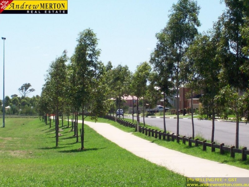 10 Georgia street, Quakers Hill NSW 2763