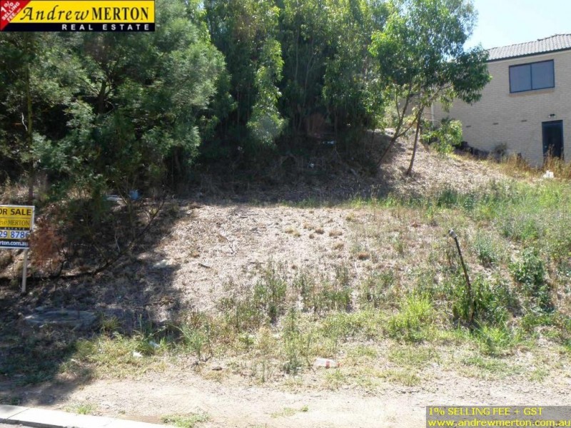 8 Lachlan Drive, Winston Hills NSW 2153