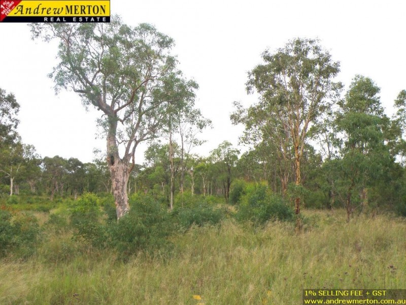 19 Cherrybrook Chase, Londonderry NSW 2753