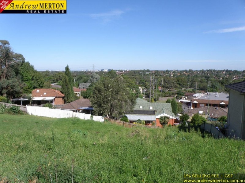 19 Mangalore Dr, Winston Hills NSW 2153