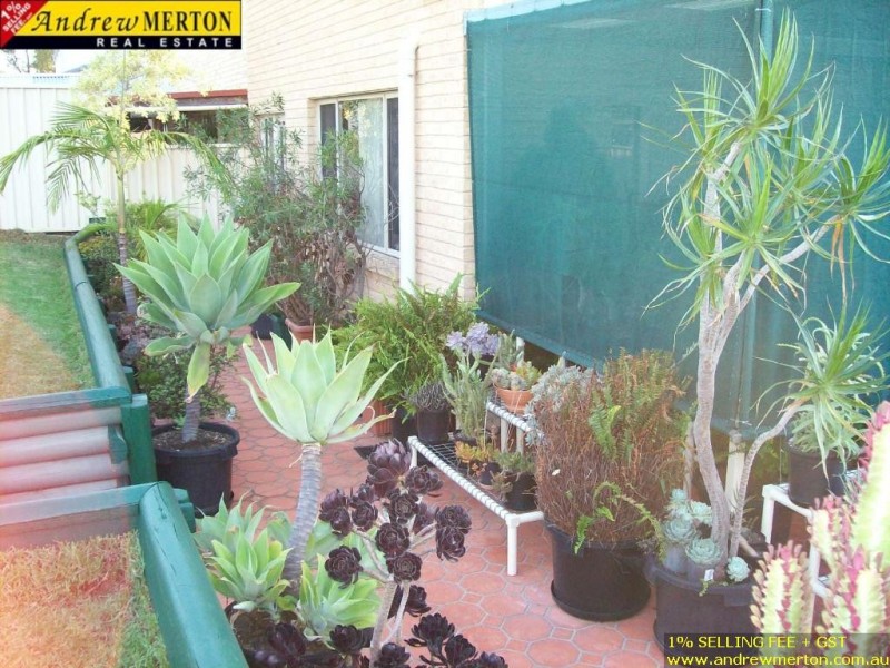 2B Fife, Blacktown NSW 2148