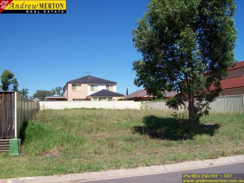 10 Georgia street, Quakers Hill NSW 2763