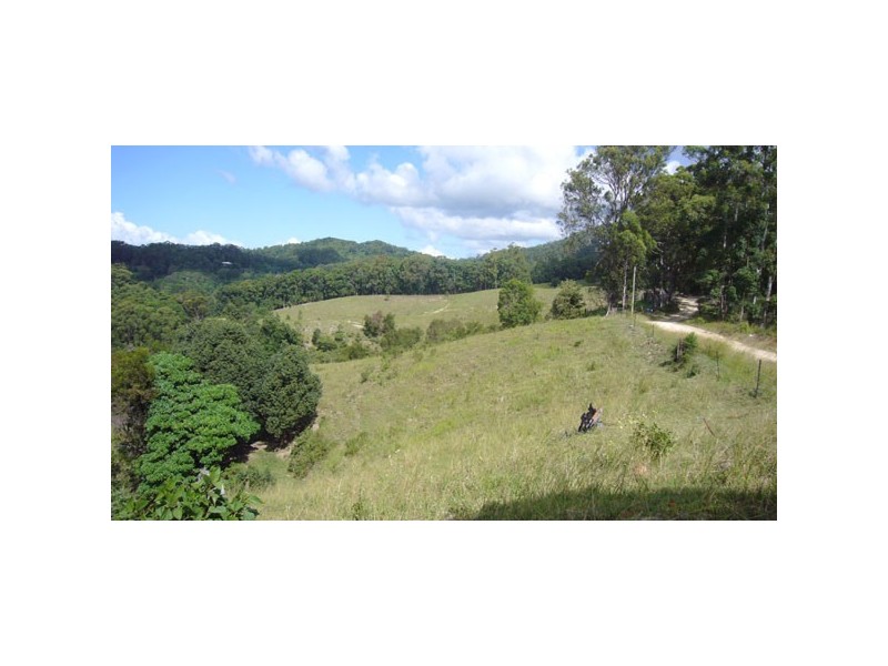 Palmvale NSW 2484