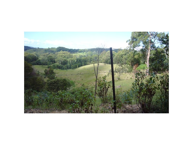 Palmvale NSW 2484