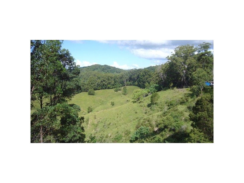 Palmvale NSW 2484