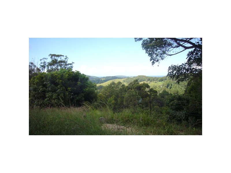Palmvale NSW 2484