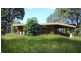 Palmvale NSW 2484