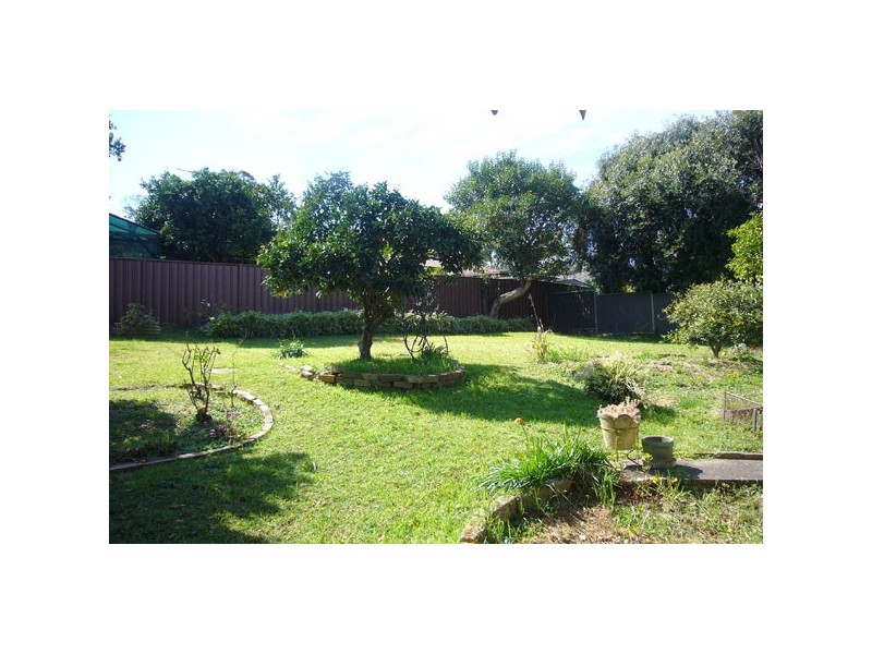 141 Darcy Rd, Wentworthville NSW 2145
