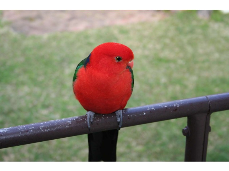 40 Liverpool Street, Bundeena NSW 2230