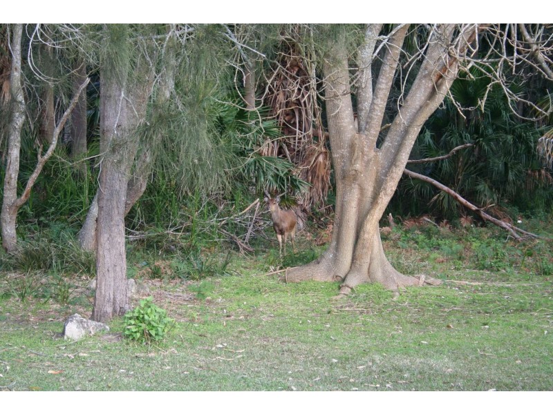 40 Liverpool Street, Bundeena NSW 2230