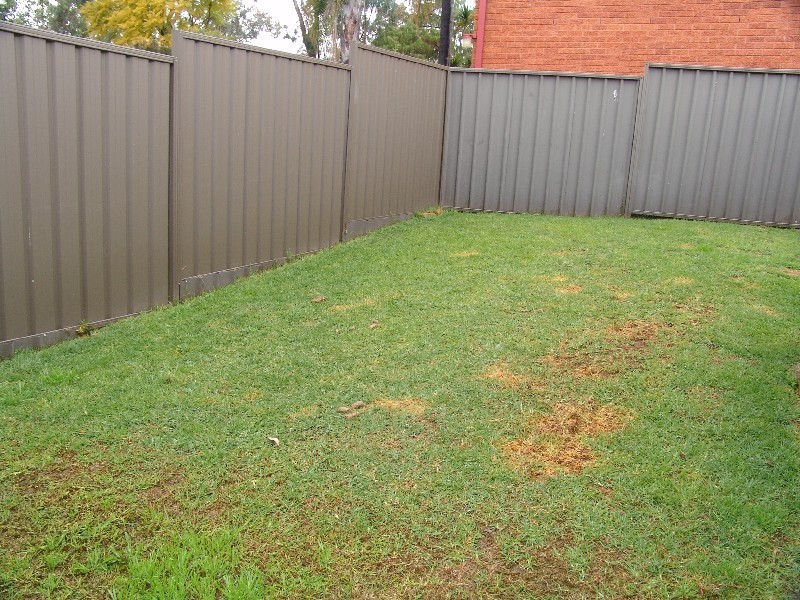 South Penrith NSW 2750