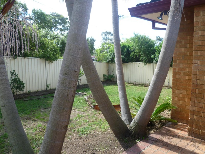 22 Greenhills Avenue, South Penrith NSW 2750