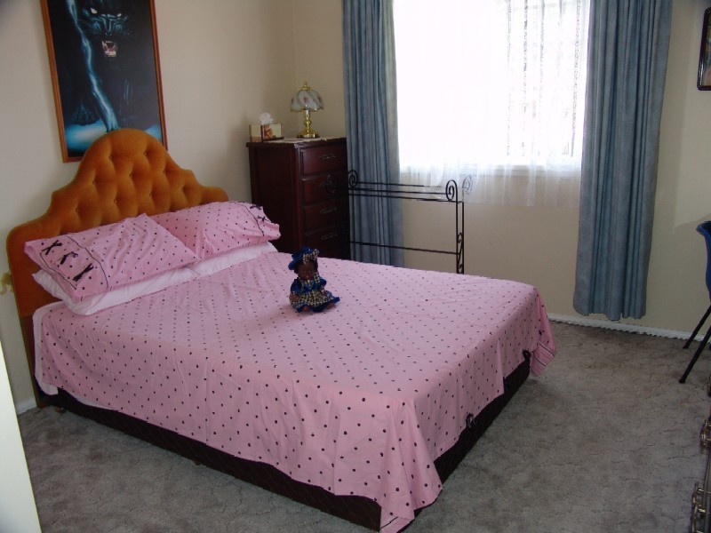 Jamisontown NSW 2750