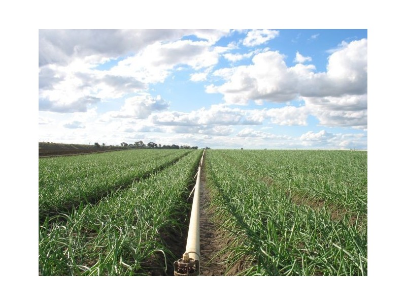 00 Lagoon Park, Wallaville QLD 4671