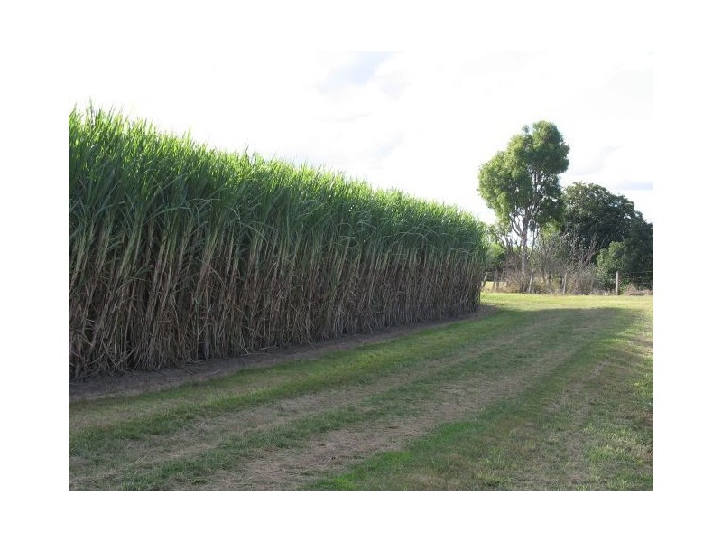 00 Lagoon Park, Wallaville QLD 4671