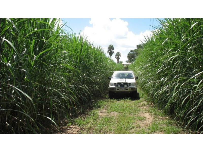 00 Lagoon Park, Wallaville QLD 4671