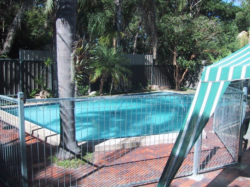 45 Ferol St, Coorparoo QLD 4151