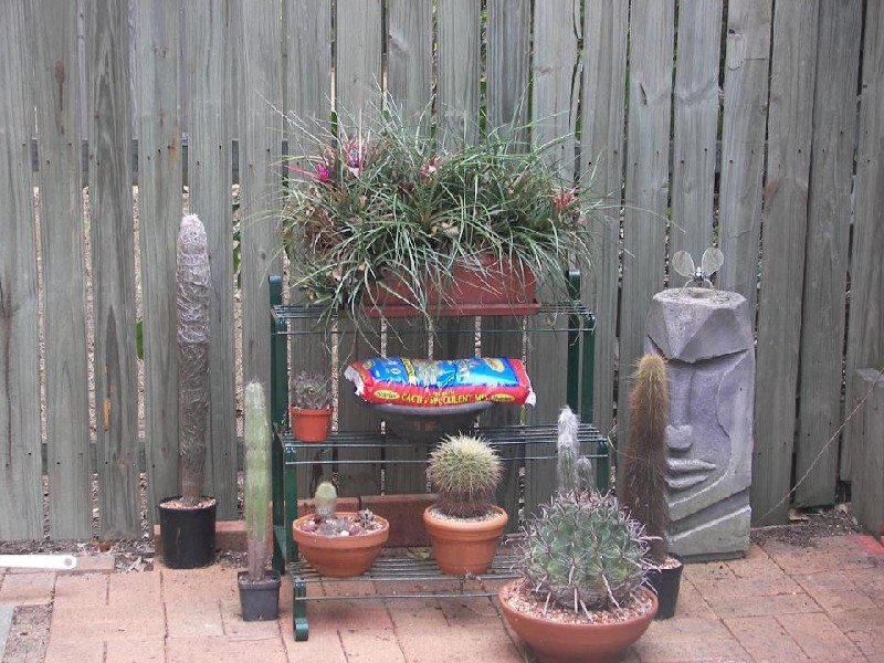 Wynnum West QLD 4178