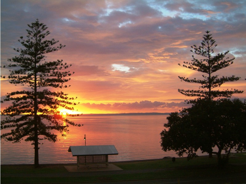 2/8 Pine Street, Wynnum QLD 4178