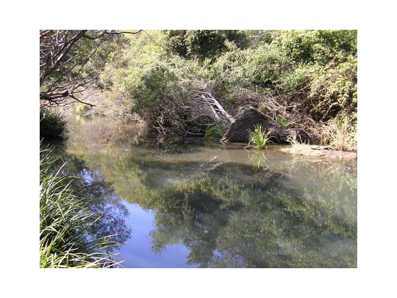 Wauchope NSW 2446