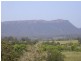 Wauchope NSW 2446