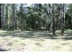 Wauchope NSW 2446