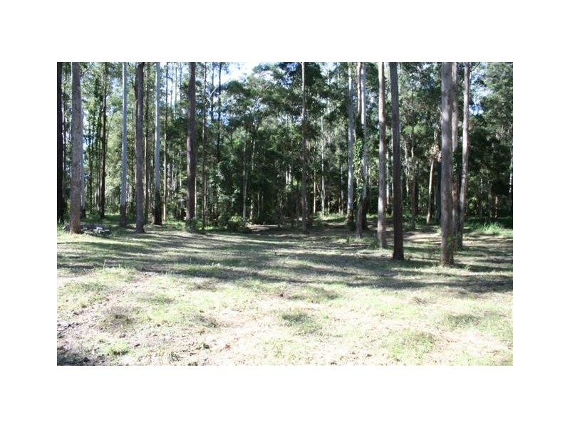 Wauchope NSW 2446