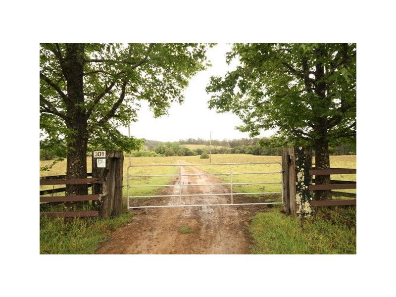 Rollands Plains NSW 2441